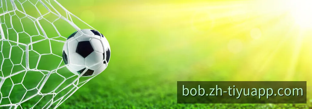 BOB 官方综合终端交互界面全貌